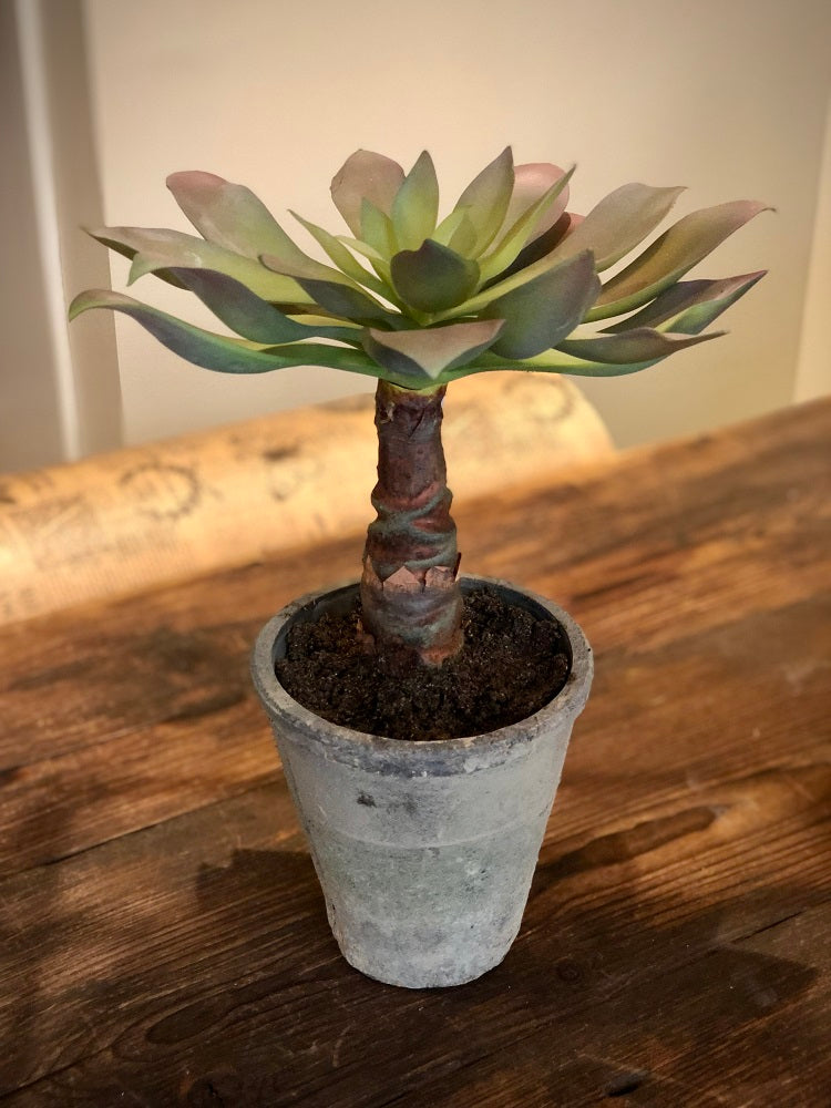 Konstgjord växt Echeveria