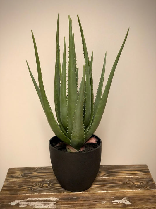Aloe Vera Konstgjord växt